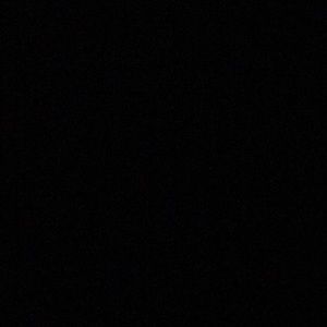 Meet your Posher, Rico